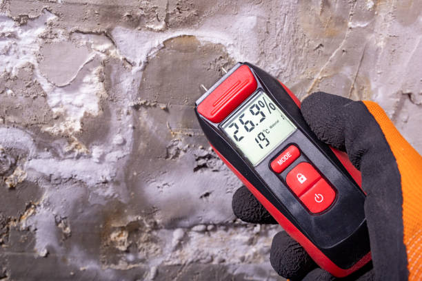 Best Kitchen Mold Remediation in Ravensworth, VA